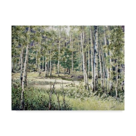 Trademark Fine Art Carol J Rupp 'Late Summer' Canvas Art, 35x47 ALI39819-C3547GG